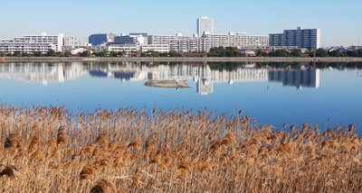🏞️ 야쓰 갯벌 공원 (야쓰히가타 고엔) 이미지 2